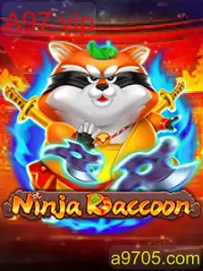 NinjaRaccoon