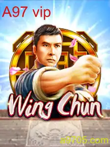 WingChun